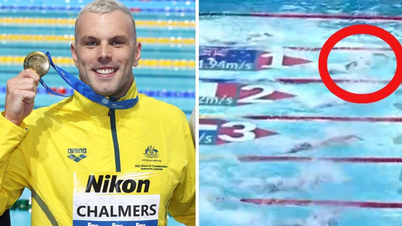 World swimming championships 2022 Kyle Chalmers wins 100m freestyle gold, 4x50m anchor relay leg comeback, Day 3 results news.au — Australias leading news site
