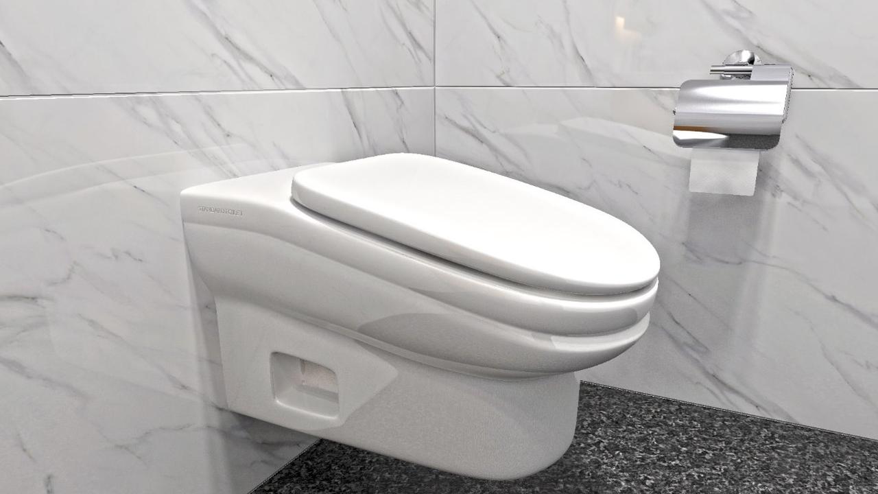 The 13 degree toilet designed by StandardToilet.