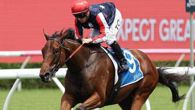 The Bjorn Baker-trained Point And Shoot will get his chance in the Group 1 Australian Guineas. Jeremy Ng / Getty Images