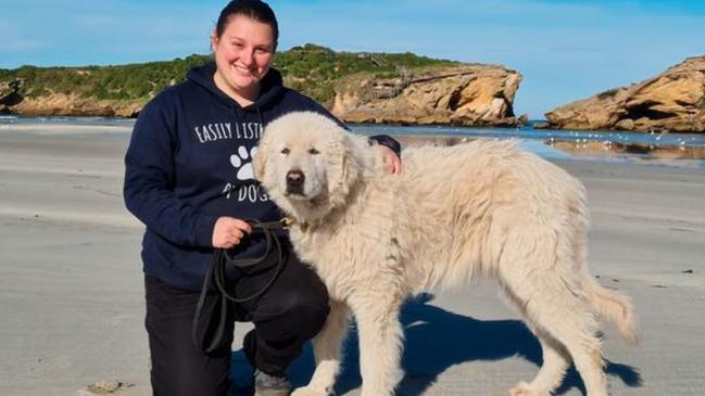 Middle Island Penguin Project co-ordinator Trish Corbett with Tula who recently died. Photo: Supplied.