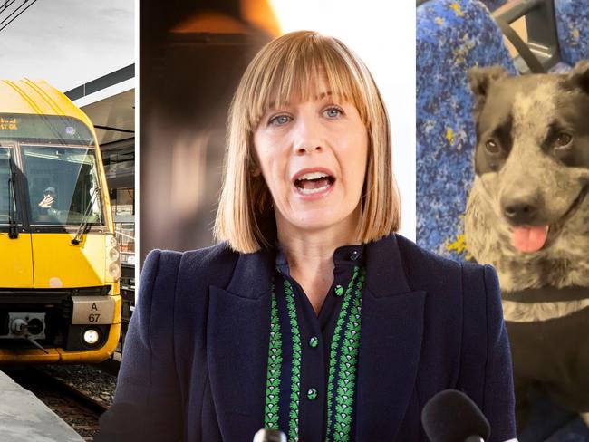 Newslocal art for dogs on trains