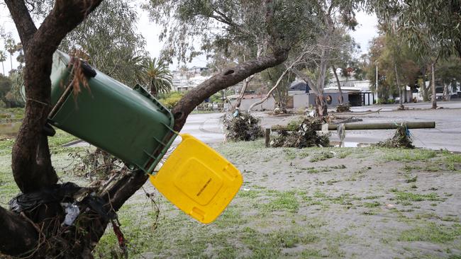 A bin in a tree in front of the Anglers Tavern in Maribyrnong as clean-up begins. Picture: David Crosling