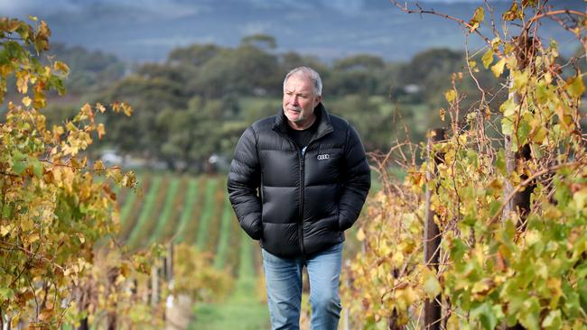 Warren Randall in one of his McLaren Vale vineyards. Picture: Dean Martin