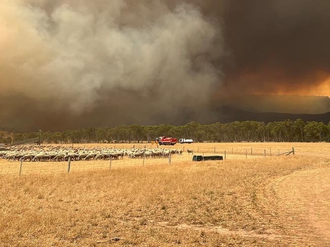 Supplied picture of the Grampians fire. Picture: CFA