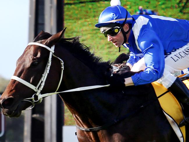 Why Winx gets nod over Sunline