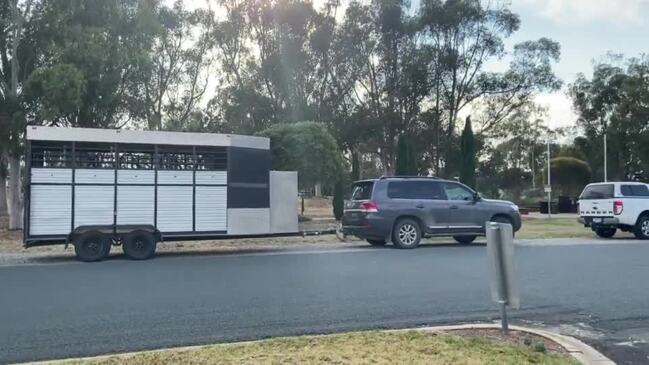 Horse seizure convoy at Girgarre