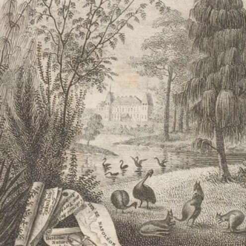 Black swans, kangaroos and dwarf emus all frolic in the splendid gardens of Malmaison. Picture: State Library Victoria.