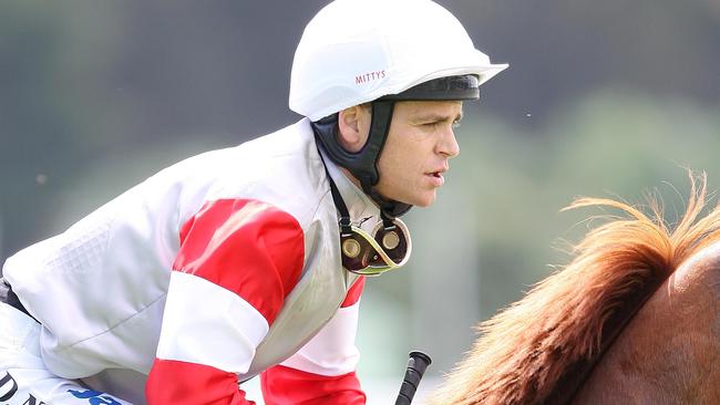 Nikolic aboard Geared Up at Warwick Farm in 2008.