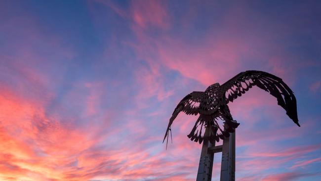 Brendan Shanahan on Kirra Eagle. “Kirra Hill is a place with views all the way to Surfers and in between. Looking up isn't bad either.”