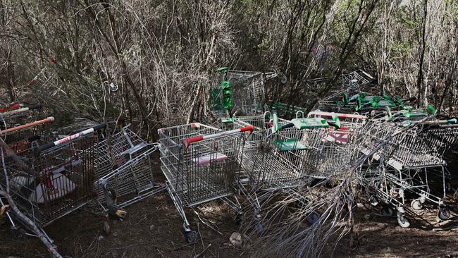 Trolleys hidden in the bush off the Wakehurst Parkway. Picture: Adam Yip.