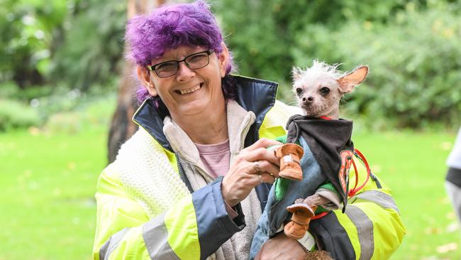 Million Paws Walk at Adelaide Botanic Gardens. Picture: Brenton Edwards