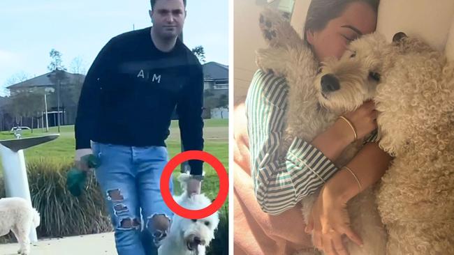 Mia Plecic and her partner Justin Borg have copped backlash after video emerged of their dog at the park. Picture: Instagram / @miaplecic