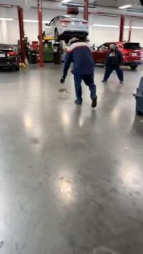 Hectic rabbit chase inside mechanic shop