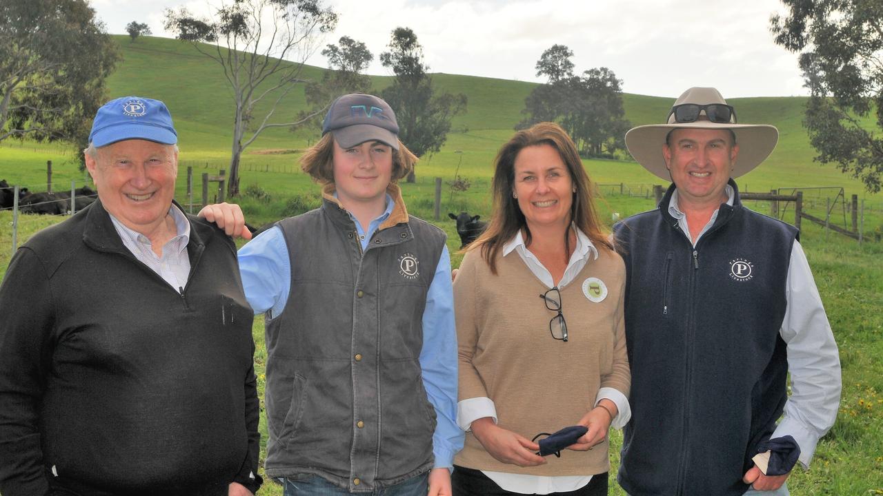 Paringa bulls make big top at sale