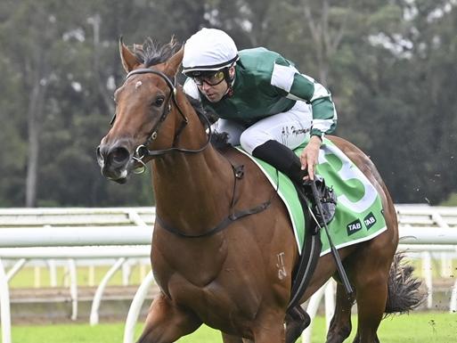 Clean Energy Warwick Farm. Picture: Bradley Photos (DIGITAL AND DT USE ONLY)