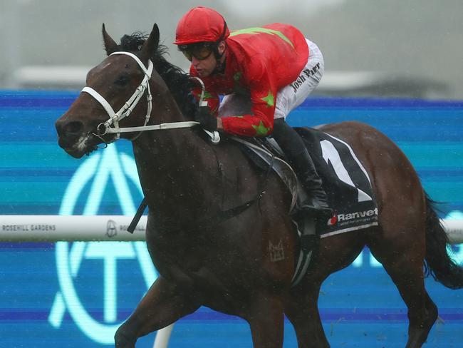 SYDNEY, AUSTRALIA - JUNE 01: Josh Parr riding Emirate wins Race 2 Ranvet Handicap during Sydney Racing at Rosehill Gardens on June 01, 2024 in Sydney, Australia. (Photo by Jeremy Ng/Getty Images)