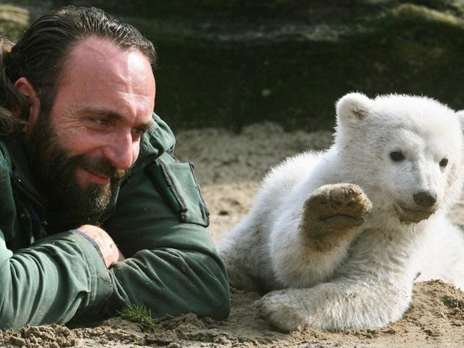 World famous polar bear ... Knut, just three-months-old, plays with his minder Thomas Doerflein during his first outing at Berlin's Zoologischer Garten Zoo in 2007. Picture: AFP