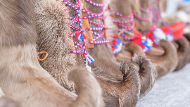 Traditional Sami boots made from reindeer fur.