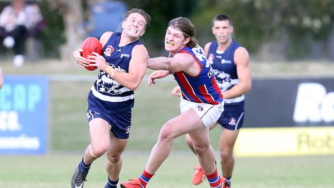 Round 8 2019 QAFL game between Broadbeach Cats and Wilston Grange at Subaru Oval. Photo of Benji Neal (Cats). Photo by Richard Gosling