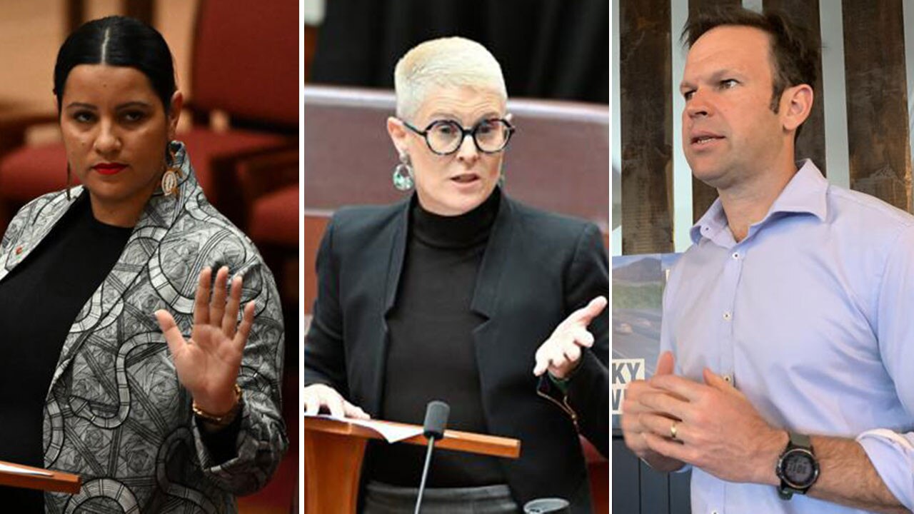 Labor’s Jana Stewart, the Greens' Penny Allman-Payne and National Matt Canavan are all members of the Qantas Chairman's Lounge. Pictures: News Corp