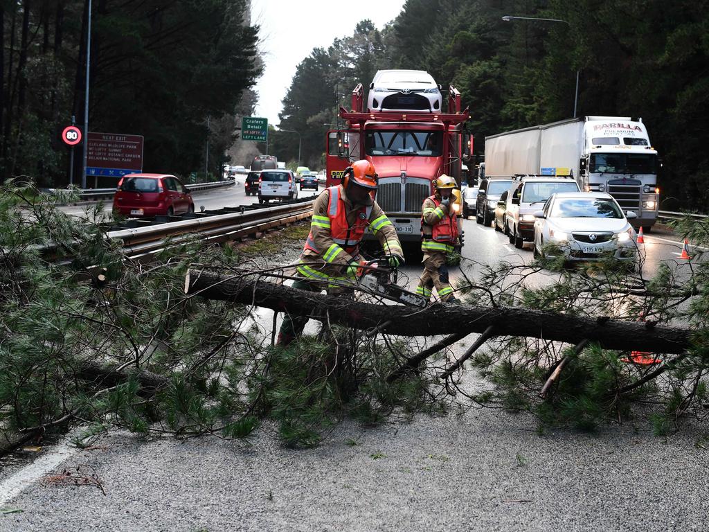 Wild weather continues in Adelaide Hills. A tree fallen over the East bound lane of the South East Freeway blocking all trafficc at the Stirling Exit is cleared by a CFS crew. Picture CAMPBELL BRODIE.