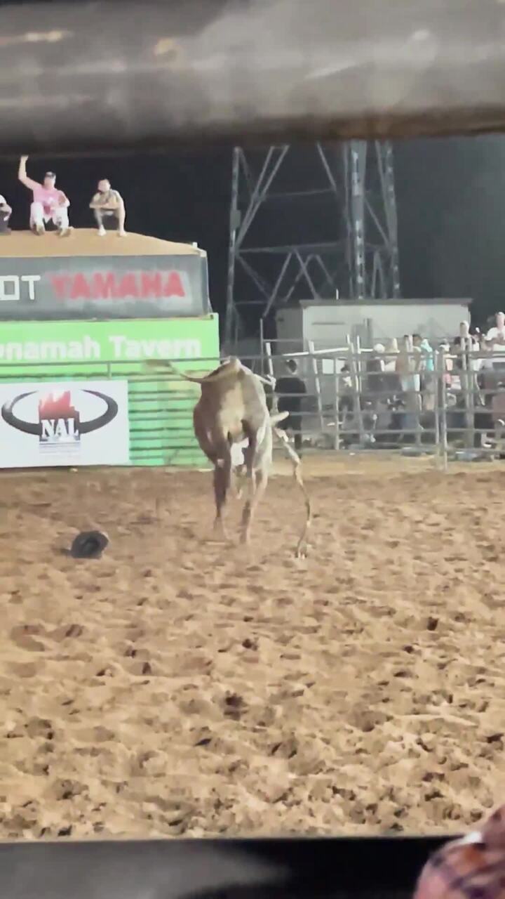 Ben Curriez tamed feature bull Night Stalker