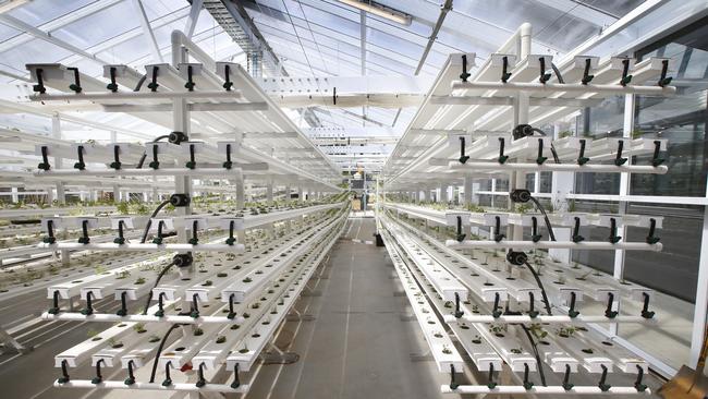 Burwood Brickworks has a rooftop farm. Picture: David Caird