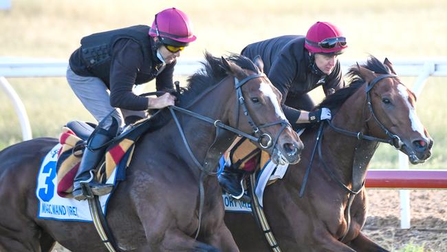 Magic Wand (left) worked alongside Armory at Werribee on Wednesday. Picture: Getty Images