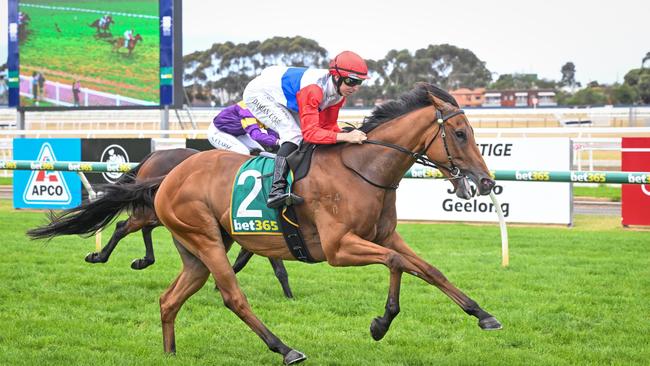 Riproar (NZ) ridden by Damian Lane wins the bet365 BM64 Handicap at Geelong Racecourse on April 02, 2024 in Geelong, Australia. (Reg Ryan/Racing Photos via Getty Images)