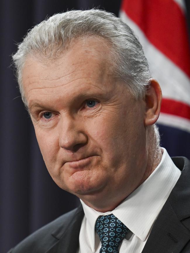 Employment and Workplace Relations Minister, Tony Burke. Picture: NewsWire / Martin Ollman