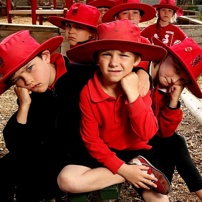 Build Our School campaign at St Kilda Primary School. Picture: Tim Carrafa