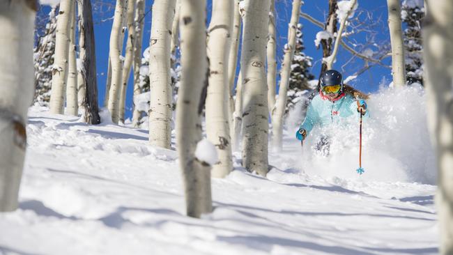 Tree skiing in Deer Valley, Utah.