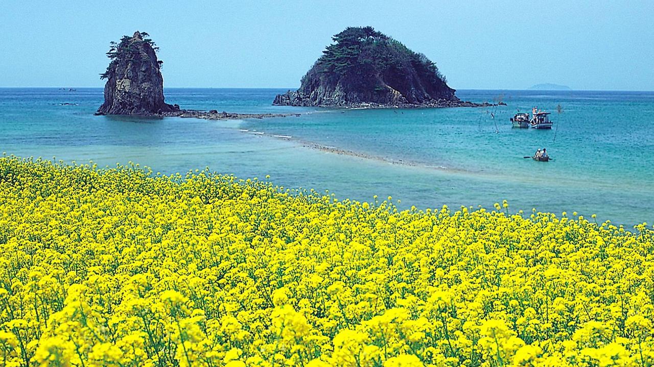 Wotif Reveals Korean Jeju ‘island Of Sex Is A New Hotspot For Australians Au