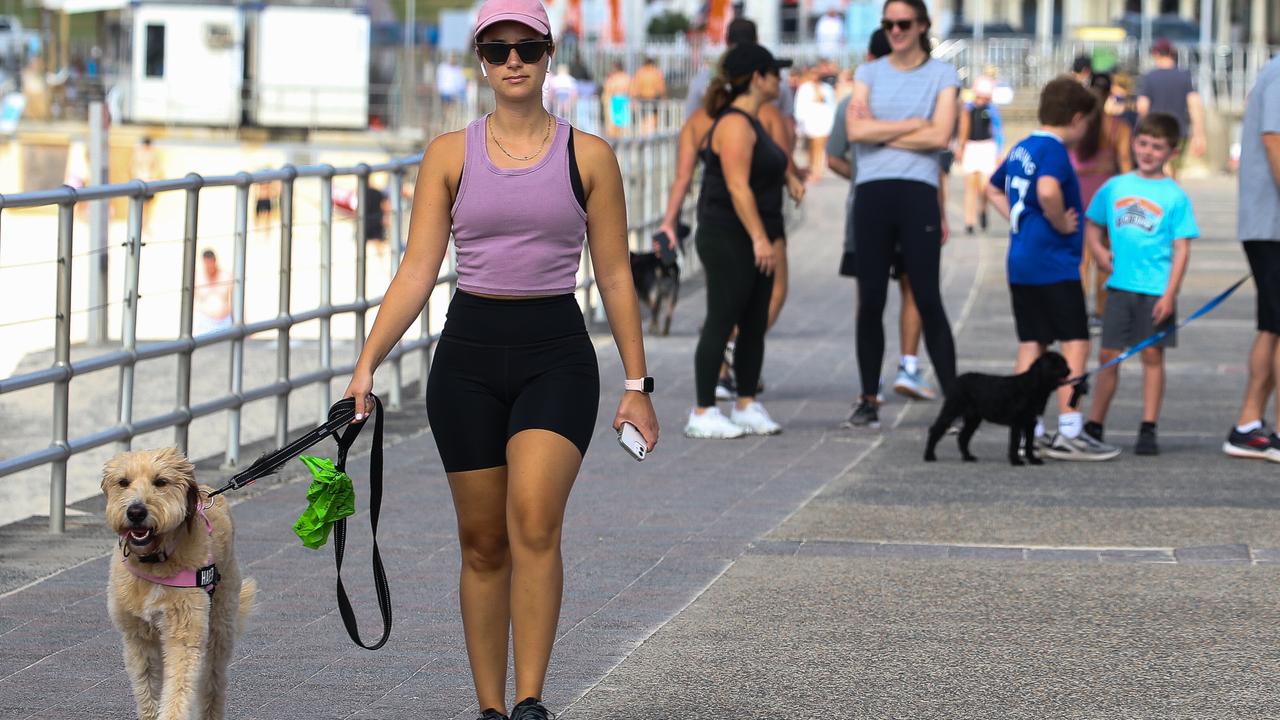 Sydneysiders enjoy spending money on their pets and the doggie daycare industry has exploded post-pandemic. Picture: Gaye Gerard/NCA Newswire