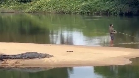 A fisho has been caught on camera flicking lures just metres from a huge croc on the Russell River.