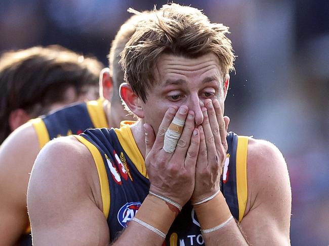 Crows’ Crouch conundrum: Why, how and what next