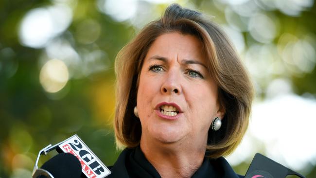 NSW Roads Minister Melinda Pavey said Mr Foley must face the same treatment as Mr McDermott.