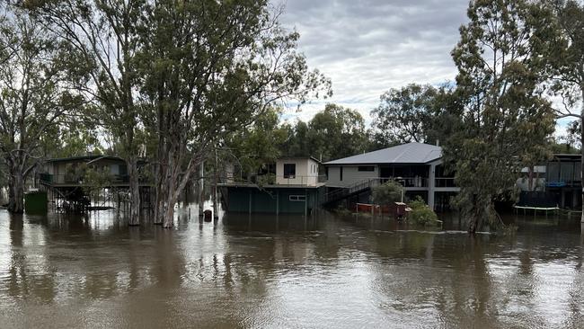 The River Murray rises to flood shacks at Morgan. Picture: James Juers