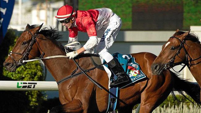 CONTENDER: Niccanova, with James Orman aboard, during the Tattersall's Recognition Stakes at Doomben in Brisbane last year. He's set to contest the Glasshouse Handicap at the Caloundra Cup meeting on Saturday. Picture: ALBERT PEREZ