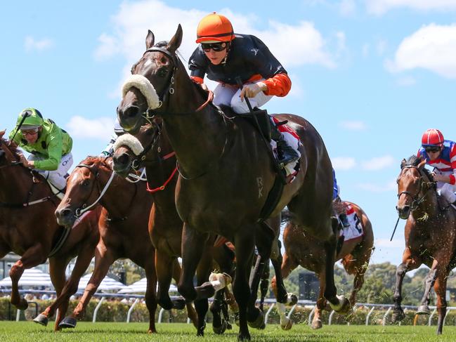 Maharba ridden by Damian Lane wins the TCL Talindert Stakes at Flemington Racecourse on February 18, 2023 in Flemington, Australia. (Photo by George Sal/Racing Photos via Getty Images)