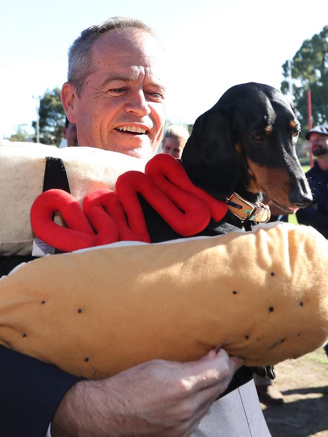 Bill Shorten holding Eva the democracy sausage dog. Picture: Kym Smith