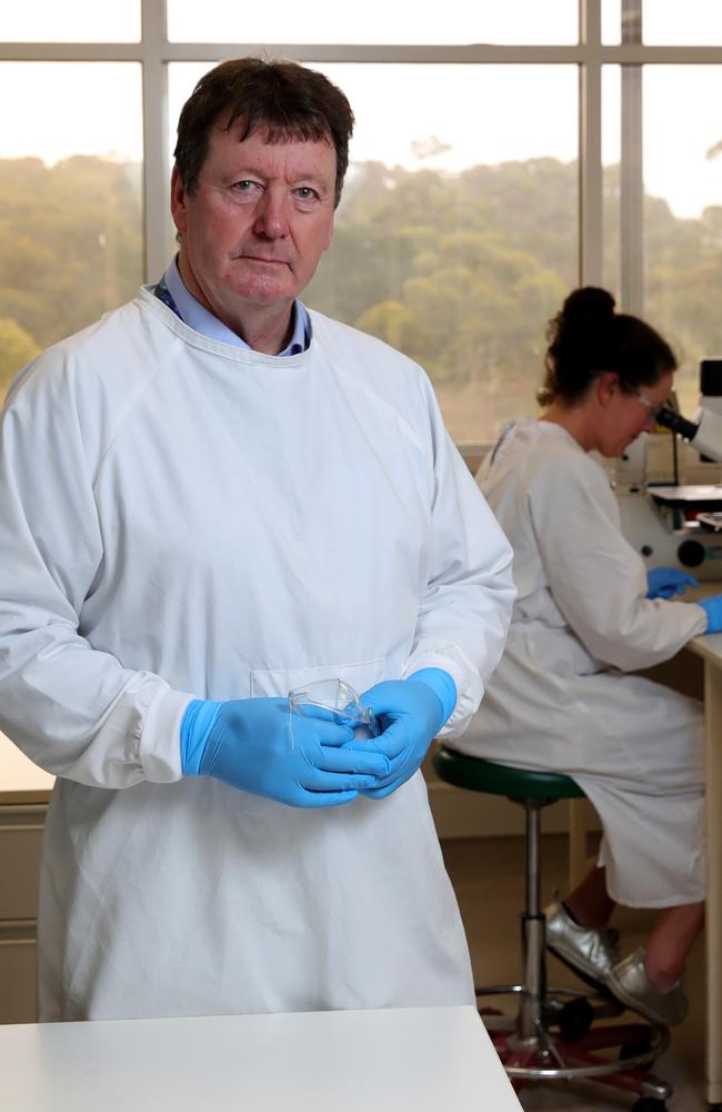 Dr Drew, working as director of the CSRIO's Australian Animal Health Laboratory, in Geelong, in January. Picture: Stuart McEvoy/The Australian