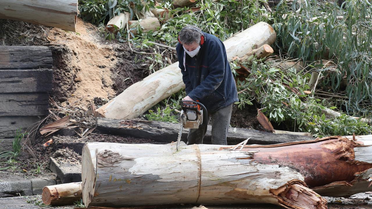 A man clears a tree in Belgrave on Friday. Picture: David Crosling