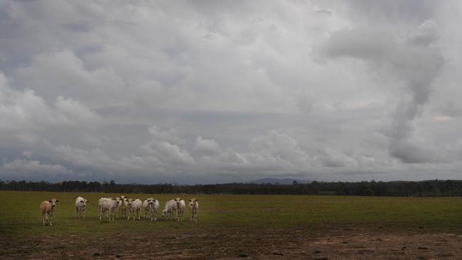 The Bundaberg and Burnett regions can expect a wetter than average summer.