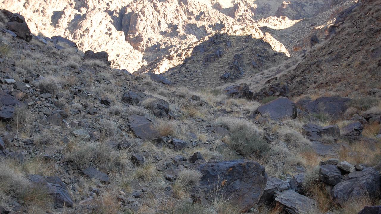 Can you spot the snow leopard in this picture? Picture: Pen News.