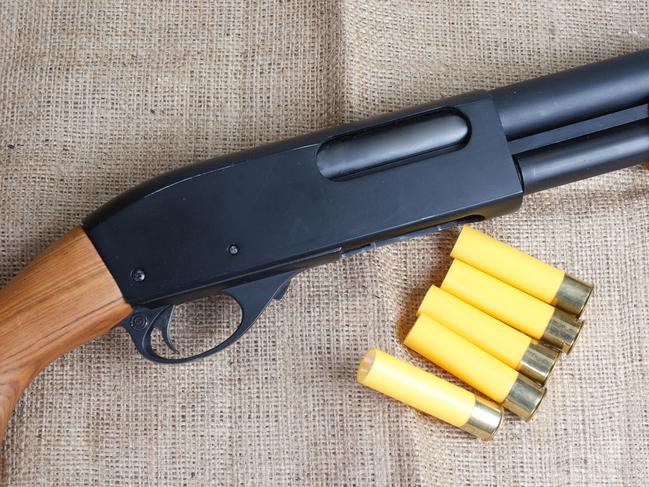 The duo allegedly entered the Melton South home with a sawn-off shotgun.