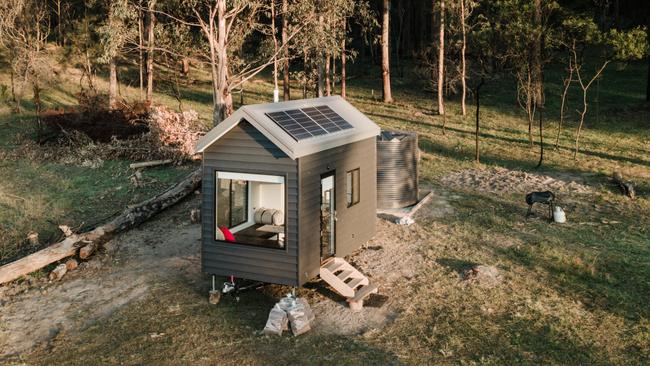 Clancy in the Blue Mountains, NSW.