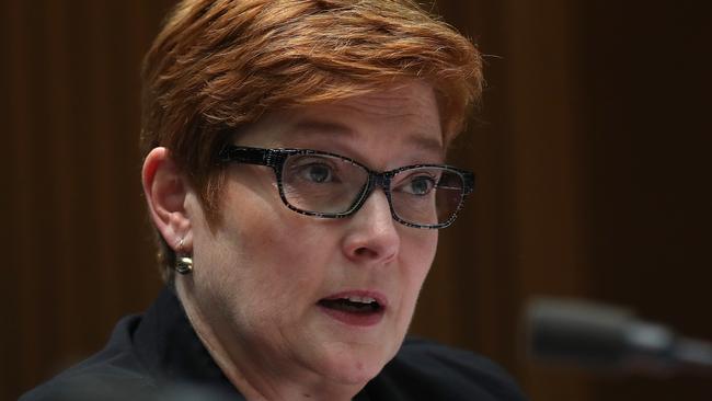 Marise Payne will consider proscribing Hezbollah. Picture: Kym Smith.