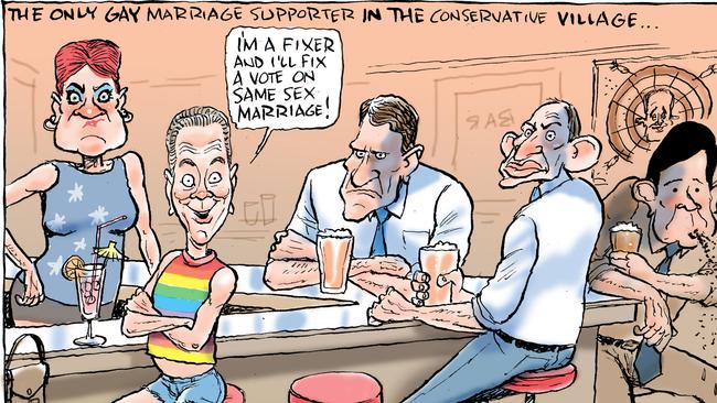 Mark Knight cartoon on Christopher Pyne saying he supported gay marriage.