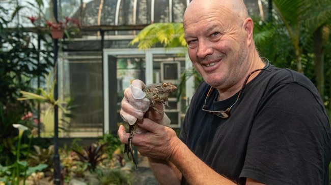 Peter Johnson with a giant barred frog. Picture: Supplied.